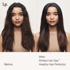 Perfect hair Day Healthy Hair Perfector