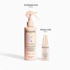Gloss Absolu Anti-Frizz Glaze Milk Heat Protection