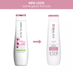 Colorlast Shampoo