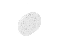 BLONDAGE HIGH BRIGHT SHAMPOO