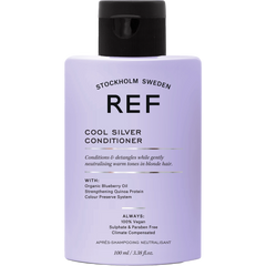 Cool Silver Conditioner